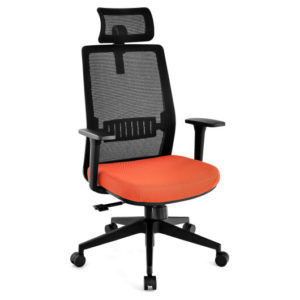 Ergonomic Office Chair with Lumbar Support and Adjustable Headrest-Black - Color: Black