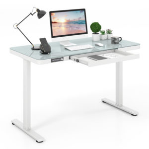 48-Inch Height Adjustable Electric Standing Desk With