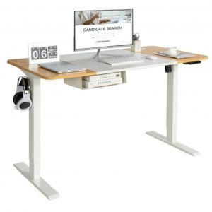 55 x 28 Inch Electric Adjustable Sit to Stand Desk with USB Port-Natural - Color: Natural