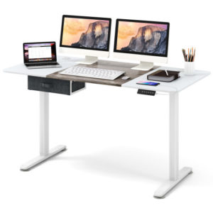 Height Adjustable Electric Standing Desk With USB